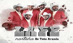 La fe norteña contrataciones e informes