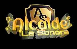 Alcalde la sonora: contratacion directa