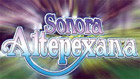 Sonora Altepexana contrataciones directas