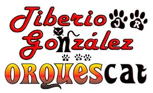 tiberio y sus gatos negros informes y contrataciones