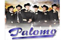 grupo palomo contrataciones e informes