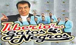 tiberio y sus gatos negros informes y contrataciones