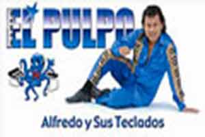 alfredo el pulpo y sus teclados contrataciones