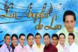 Contrataciones Angeles de Leo