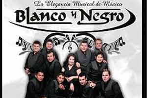 Grupo blanco negro informes y contrataciones
