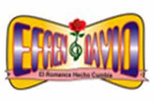 efren david infomes y contrataciones cuanto cobra