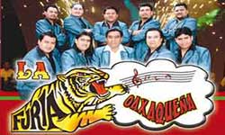 Furia oaxaqueña Informes y contrataciones directas