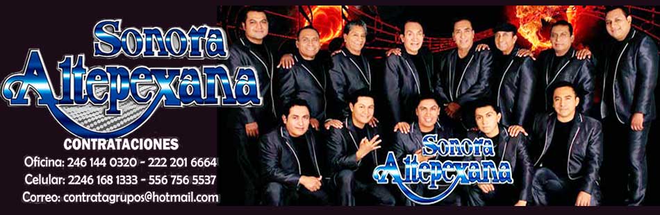 Sonora Altepexana contrataciones directas