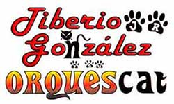 tiberio y sus gatos negros informes y contrataciones